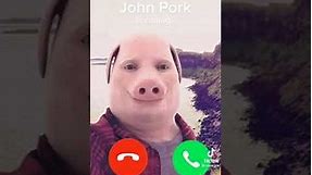 JOHN PORK IS CALLING [1 Hour]
