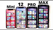 iPhone 12 Mini vs iPhone 12 vs iPhone 12 Pro vs iPhone 12 Pro Max