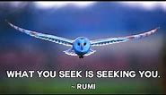 Rumi ~ 𝐈𝐧𝐭𝐨 𝐄𝐭𝐞𝐫𝐧𝐢𝐭𝐲 ~ Sufi Mysticism
