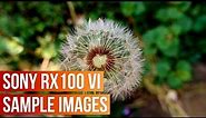 Sony Cyber-shot RX100 VI Sample Images