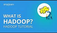 What Is Hadoop? | Introduction To Hadoop | Hadoop Tutorial For Beginners | Simplilearn