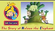 64 Zoo Lane - Nelson the Elephant S01E01 HD | Cartoon for kids