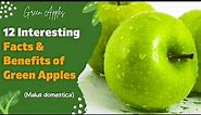 ☑️12 Interesting Facts & Benefits of Green Apples (Malus domestica) || About Green Apples