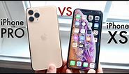 iPhone 11 Pro Vs iPhone XS! (Comparison) (Review)