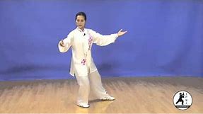 Yang-style Tai Chi 24 Form Instructional DVD taught by Master Amin Wu吳阿敏24式太極拳教程