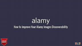How to Improve Your Alamy Images Discoverability