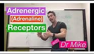 Adrenergic (adrenaline/epinephrine) Receptors