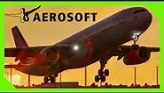 Aerosoft A330 Livery Showcase | Progress Update | MSFS | A330 | Aerosoft