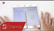 Schannel - iPhone 6s | 6s Plus làm giả siêu tinh vi, học ngay cách phân biệt để tránh bị lừa - P2