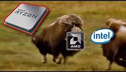 AMD vs INTEL Muskox CLASH meme