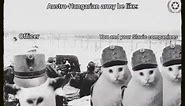 Austro-Hungarian army be like (goat talking to clueless cat meme)