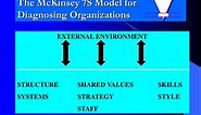 PPT - The McKinsey 7S Model for Diagnosing Organizations PowerPoint Presentation - ID:807368