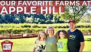 Apple Hill in October | Our Favorite Apple Farms | Enjoying All of the Apple Goodness!