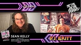 #106 Sean Kelly Author of " Don't Call It Hair Metal " Art in the Excess of 80's Rock