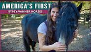 Riding the Gypsy Vanner at Gypsy Gold Horse Farm