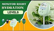 Best Soil Moisture Meter For Plants - Monitoring Right Hydration Levels