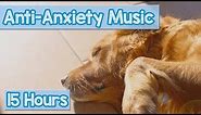 Calming Music for Puppies with Anxiety! Soothing Lullabies for Anxious and Stressed Dogs! (Tested)
