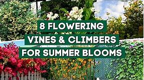 7 Best Flowering Vines & Climbers to Plant for Summer Blooms 🌺 // PlantDo Garden 💚