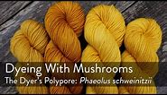 How to Make Dye with Mushrooms | The Dyer's Polypore