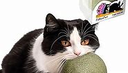 3.94 Inches Huge Catnip Ball for Cats -Giant Cat Toys for Indoor Cats -Jumbo Cat Nip Balls -Big Cat Teething Chew Toys - Kitty Teeth Cleaning Lick Dental Toys