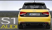 Audi S1 Sportback Test Drive: First OFFICIAL Driving