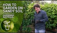 How to garden on sandy soil