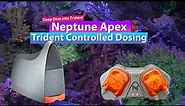 Neptune Apex Trident Controlled Dosing - Why, How, Misconceptions, & Deep dive!