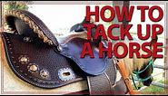 How to Saddle a Horse (Western Style) | Jeffers Equine