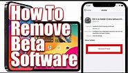 How To Remove Beta Software From iPhone and iPad
