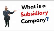 What is a Subsidiary Company?