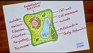 How To Draw And Label A Plant Cell