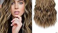 REECHO Invisible Wire Hair Extensions with Thinner Softer Lace Weft Adjustable Size Removable Secure Clips in Wavy Secret Hairpiece for Women 12 Inch (Pack of 1) - Light Brown with Blonde Highlights