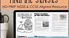 Animal Senses | Structure and Function | Print   Google | 4th Science   ELA