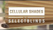 Everything You Need to Know About Cellular Shades by SelectBlinds.com