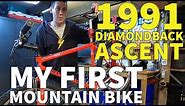 1991 Diamondback Ascent Retro Mountain bike