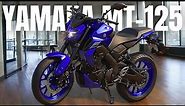 2024 Yamaha MT-125_ Powerful, agile, and practical motorcycle designed for urban exploration