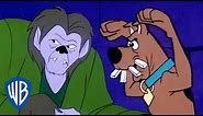 Scooby-Doo! | Running Away from the Werewolf | Classic Cartoon | WB Kids