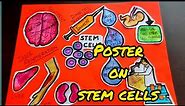 poster on stem cells|drawing of stem cells|stem cell