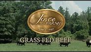 Joyce Farms Heritage Aberdeen Angus Beef