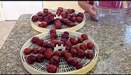 Dried Fruit-Jujube Fruit-How To Make Dried Fruit-How To Dehydrate Fruit-Food-Meat-Vietnamese Food