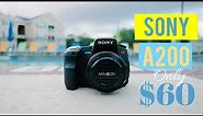 Sony A200 Review