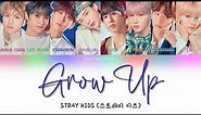 Stray Kids (스트레이 키즈) - 'Grow Up' (OT8) Lyrics [Color Coded Lyrics Han|Rom|Ita|가사]