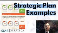 Strategic Plan Examples- Overview of Several Strategic Plans