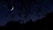Breezy Autumn Night | Binaural Nighttime Fall Ambience | 10 Hours | Nature Sleep Sounds
