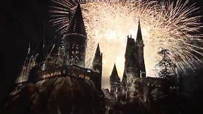 The Wizarding World of Harry Potter Premiere