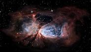 Celestial Snow Angel: Star-forming Region Sharpless 2-106