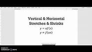 Vertical and Horizontal Stretches and Shrinks of Graphs