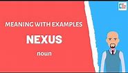 Nexus | Meaning with examples | My Word Book