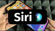 How to Use Siri - iPhone 12 Pro Max