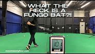 What Is A Fungo & Why Do All Coaches Need One?